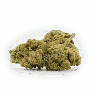 Gorilla Glue