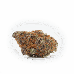Tropicana